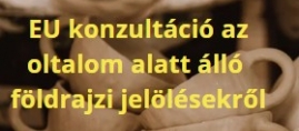 Földrajzi jelölések